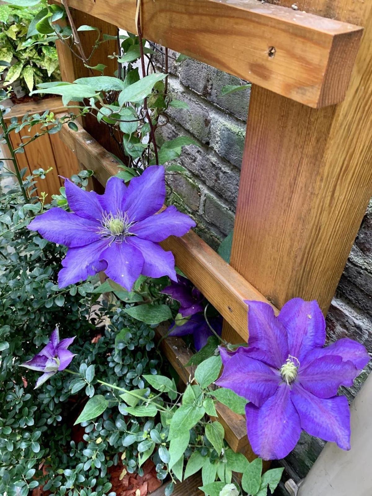 ルーアンL Hibiscus 1アパートメント エクステリア 写真